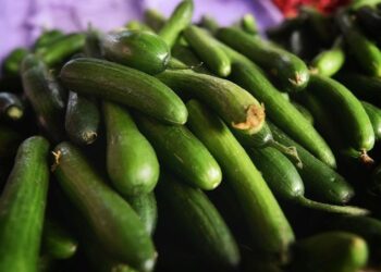 Bir Kilogram Salatalık 200 TL’yi Buldu!