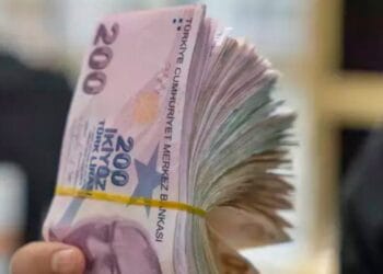 Vatandaşlık Maaşı Detayları Belli Oldu: Başvuru Şartları Tek Tek Açıklandı