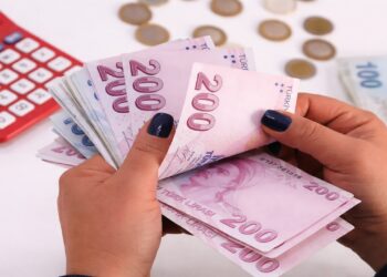 İşsizlere 10 Ay Boyunca Çift Maaş Ödemesi Yapılacak