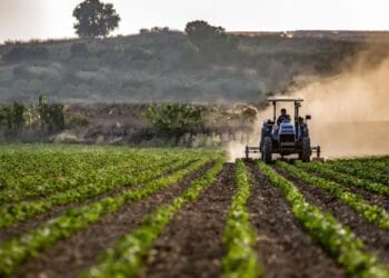 Yem, Gübre ve Veteriner Fiyatları Zamlandı!